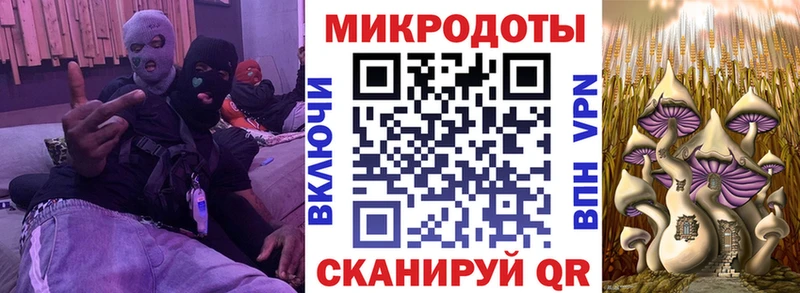 дарнет шоп Шебекино Галлюциногенные грибы мухоморы